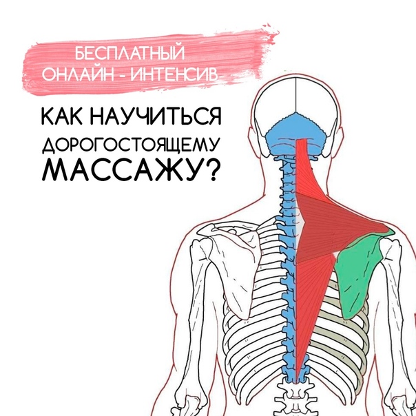 Как научиться дорогостоящему массажу